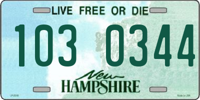 NH license plate 1030344