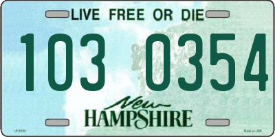 NH license plate 1030354