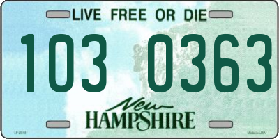 NH license plate 1030363