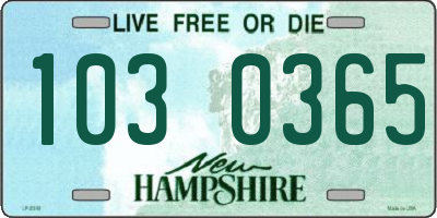 NH license plate 1030365