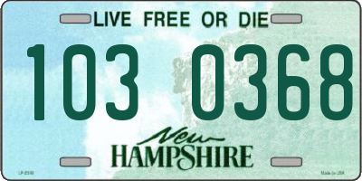 NH license plate 1030368