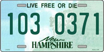 NH license plate 1030371