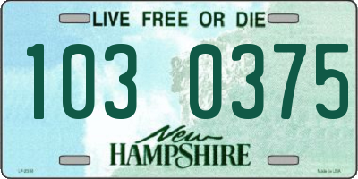 NH license plate 1030375