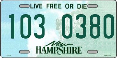 NH license plate 1030380