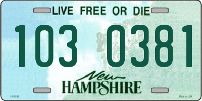 NH license plate 1030381