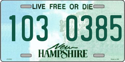 NH license plate 1030385