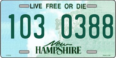 NH license plate 1030388