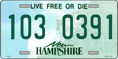 NH license plate 1030391