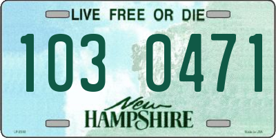 NH license plate 1030471