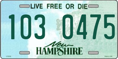NH license plate 1030475