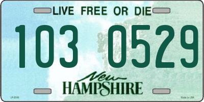 NH license plate 1030529