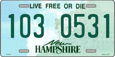 NH license plate 1030531