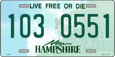 NH license plate 1030551