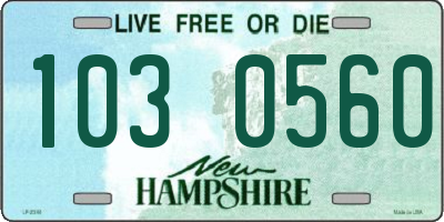 NH license plate 1030560