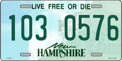 NH license plate 1030576