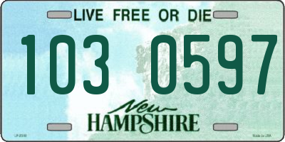 NH license plate 1030597