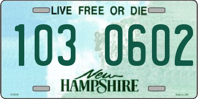 NH license plate 1030602
