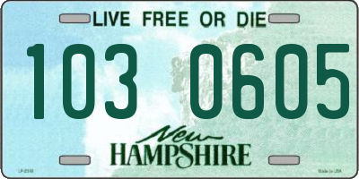 NH license plate 1030605