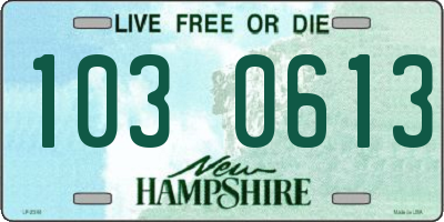 NH license plate 1030613