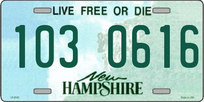 NH license plate 1030616