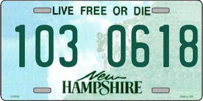 NH license plate 1030618