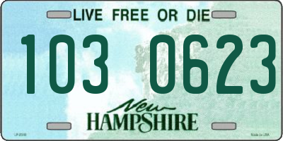 NH license plate 1030623