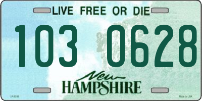 NH license plate 1030628