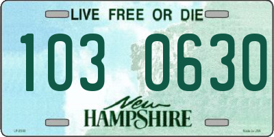 NH license plate 1030630