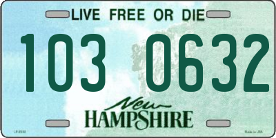 NH license plate 1030632