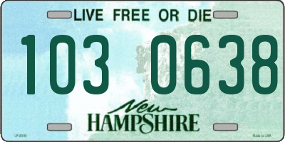 NH license plate 1030638