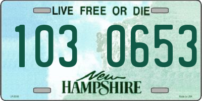 NH license plate 1030653