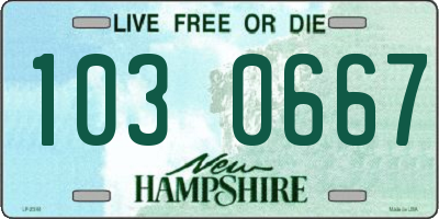 NH license plate 1030667