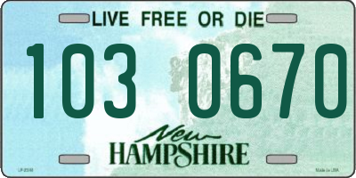 NH license plate 1030670