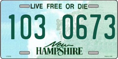 NH license plate 1030673