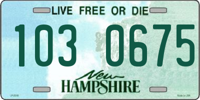NH license plate 1030675
