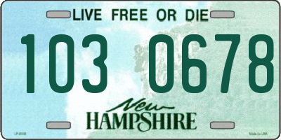 NH license plate 1030678