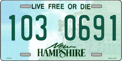 NH license plate 1030691