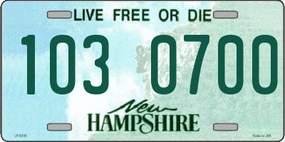 NH license plate 1030700