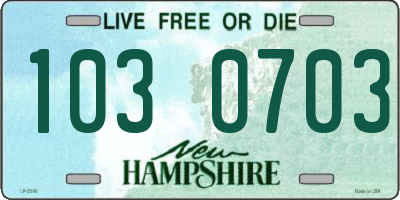 NH license plate 1030703