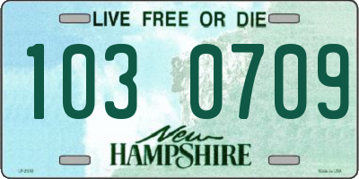 NH license plate 1030709