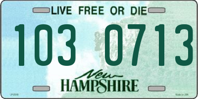 NH license plate 1030713