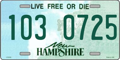 NH license plate 1030725