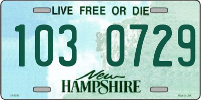 NH license plate 1030729