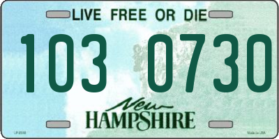 NH license plate 1030730