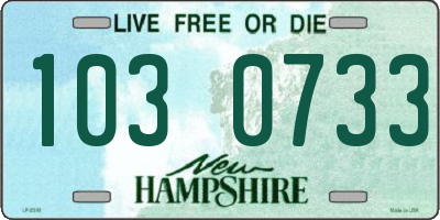 NH license plate 1030733