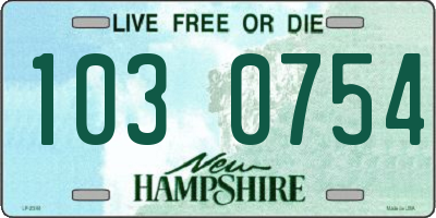 NH license plate 1030754
