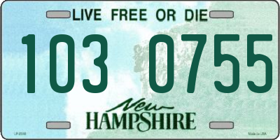 NH license plate 1030755