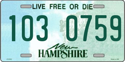 NH license plate 1030759