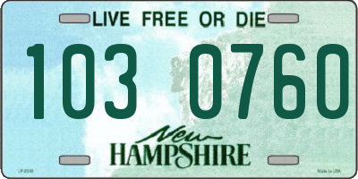 NH license plate 1030760