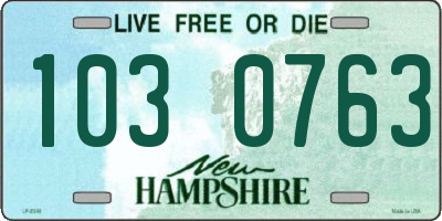 NH license plate 1030763